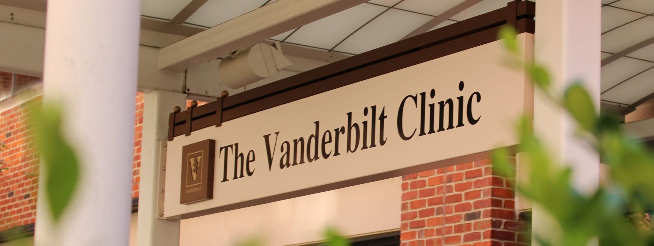 The Vanderbilt Clinic