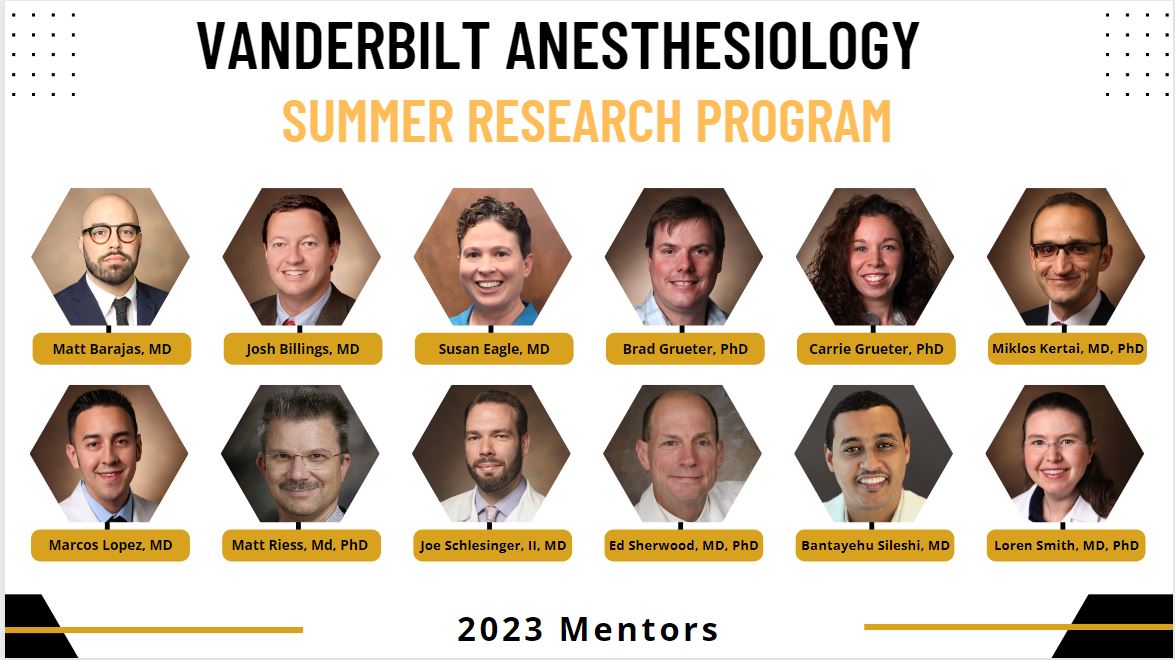 Vanderbilt Anesthesiology Summer Research Mentors
