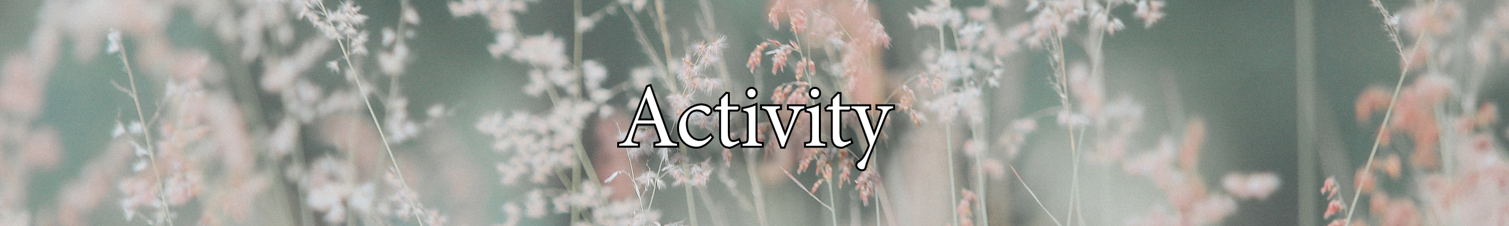 activity