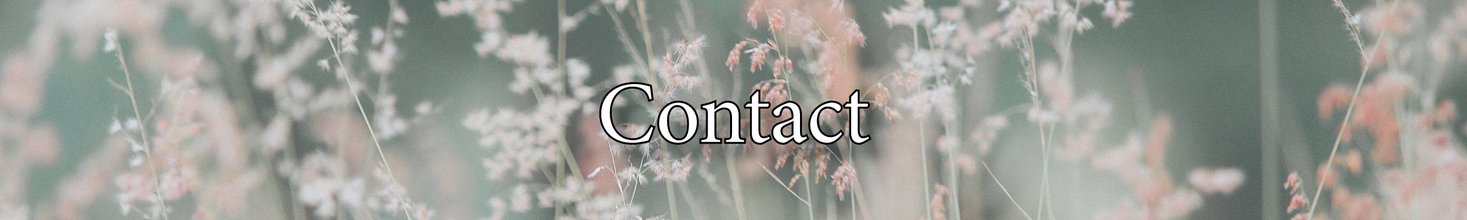 contact