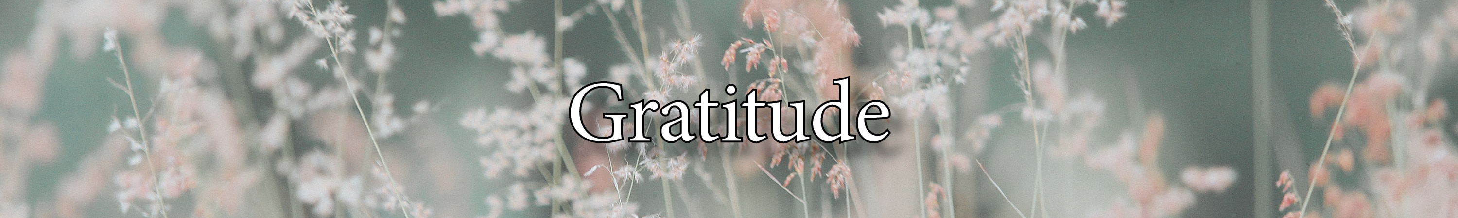 gratitude