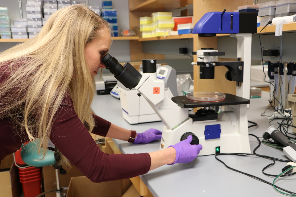 Message from the Chair | Department of Anesthesiology