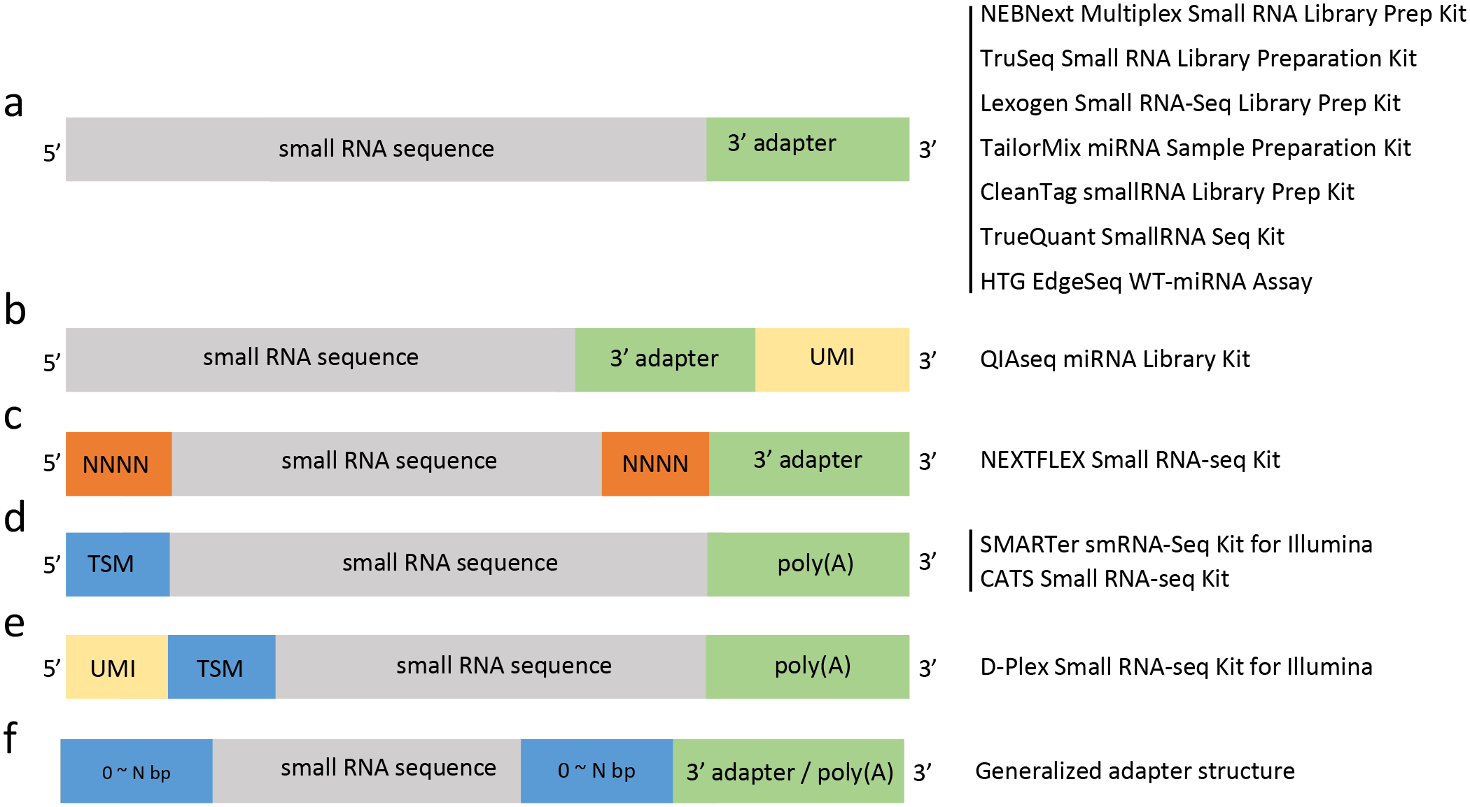 Figure 1. Read structures from different small RNA library preparation kits