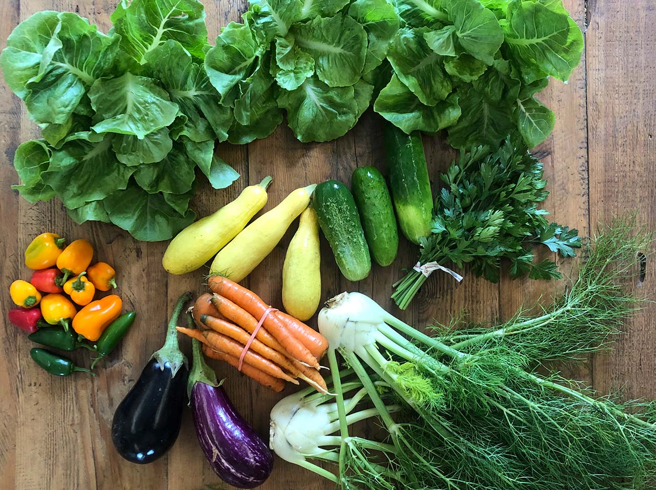 Summer/Fall CSA Share