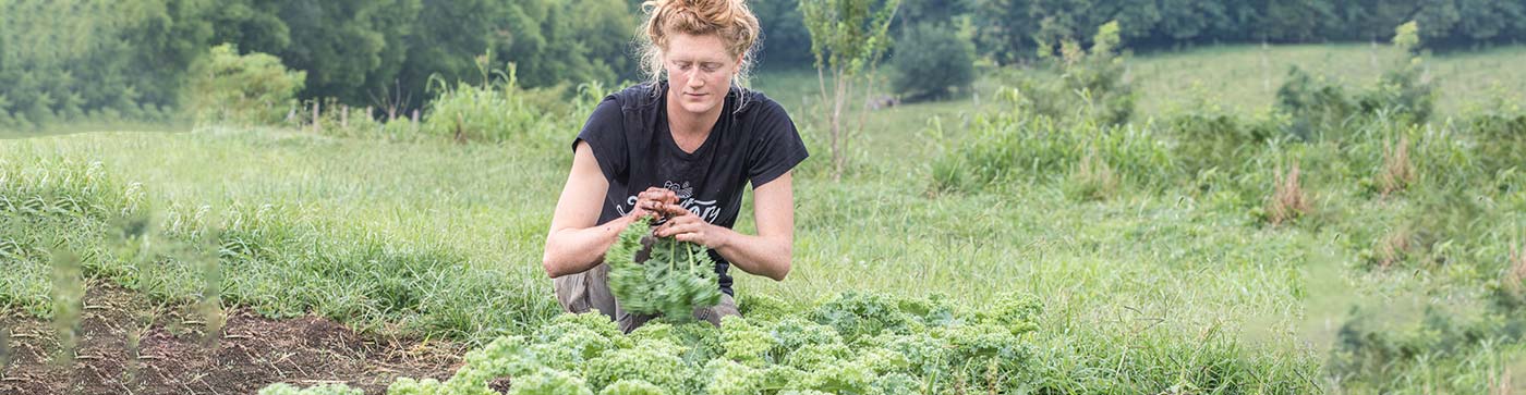 Caney Fork Farms