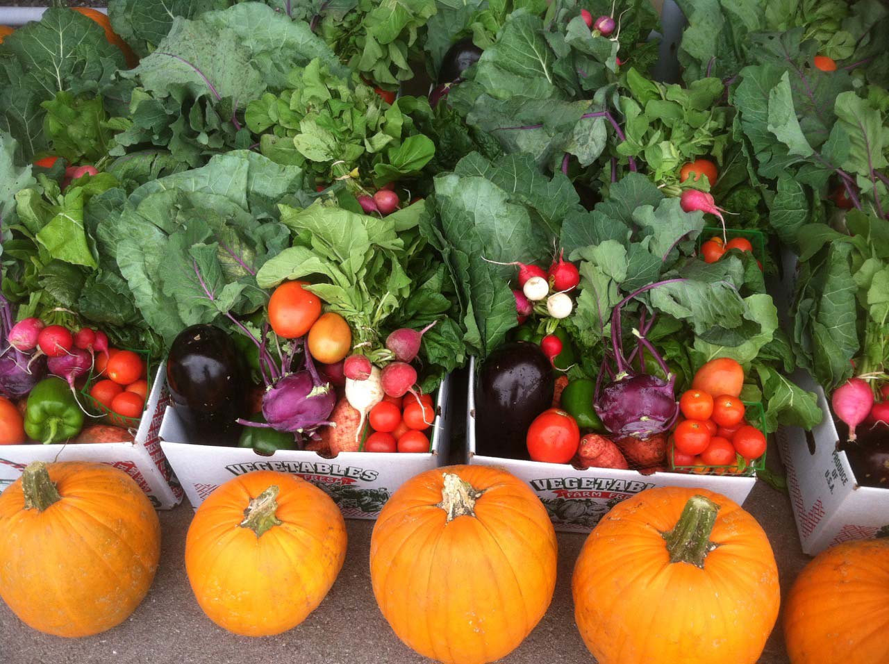 Fall CSA Share