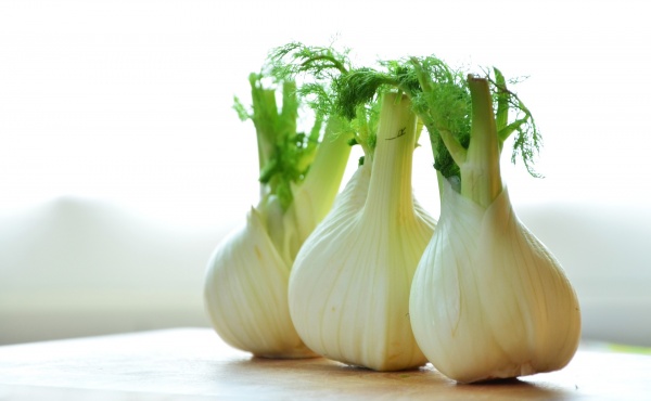 fennel-1311691_1920_0.jpg