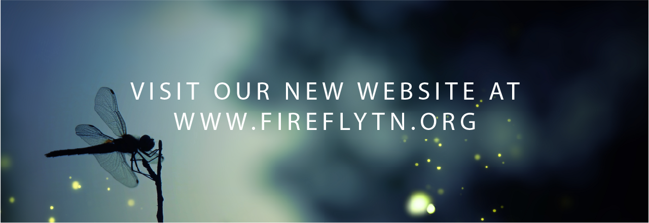 firefly website link