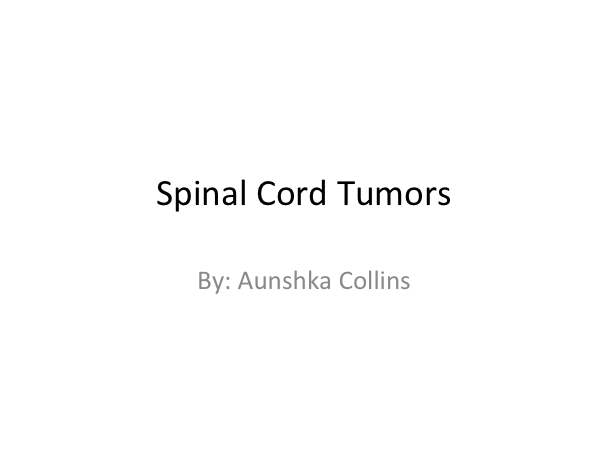 spinal cord.png