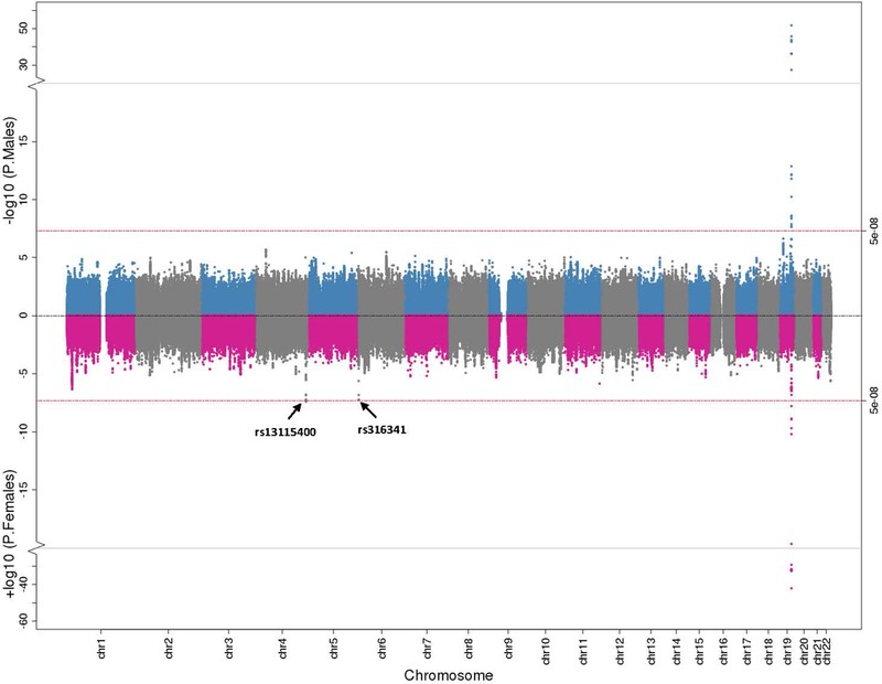 Sex-Stratified GWAS Results for CSF A42