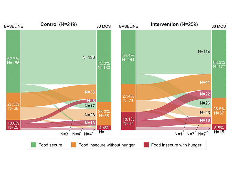 Food security Sankey diagram