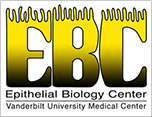 Epithelial Biology Center