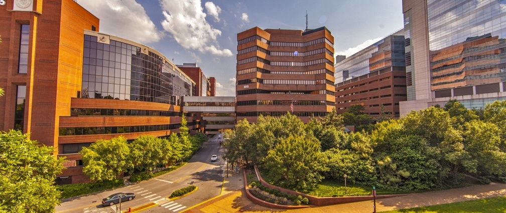 Is Vanderbilt A Good Medical School - CollegeLearners.com