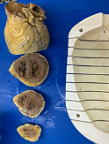 Post-Mortem Heart Slices next to MRI Holder