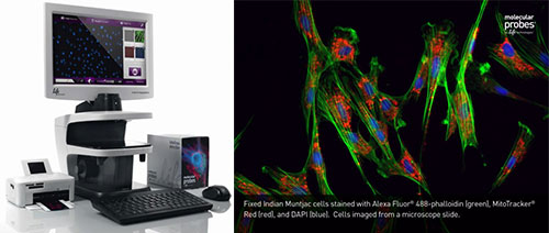 Floid Cell Imaging Station