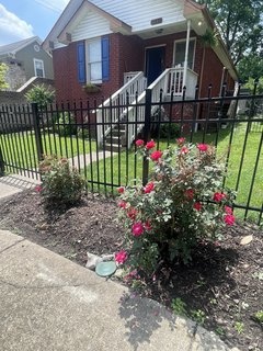 Picture of house