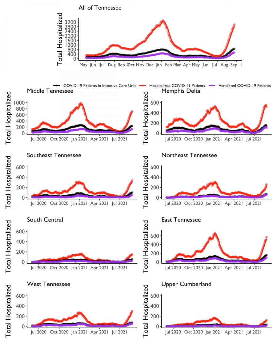 chart showing covid hospitalizations in tennessee as of aug. 26 2021