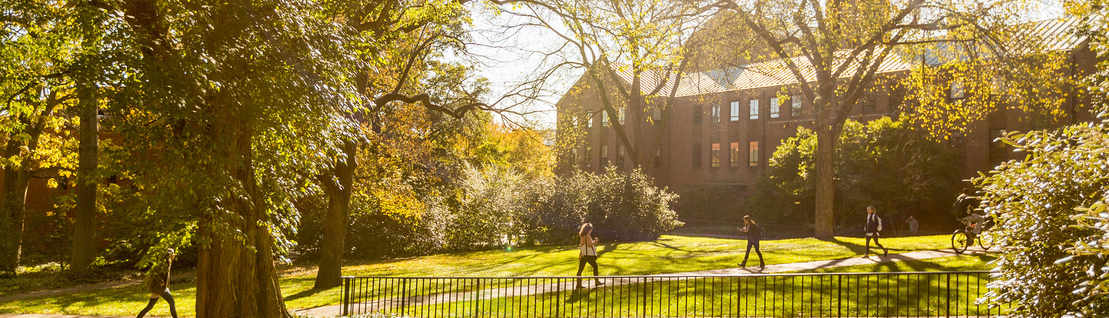 Campus Morning