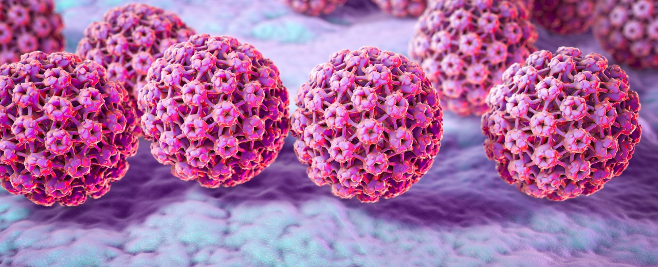 3d computer rendering of HPV virus.
