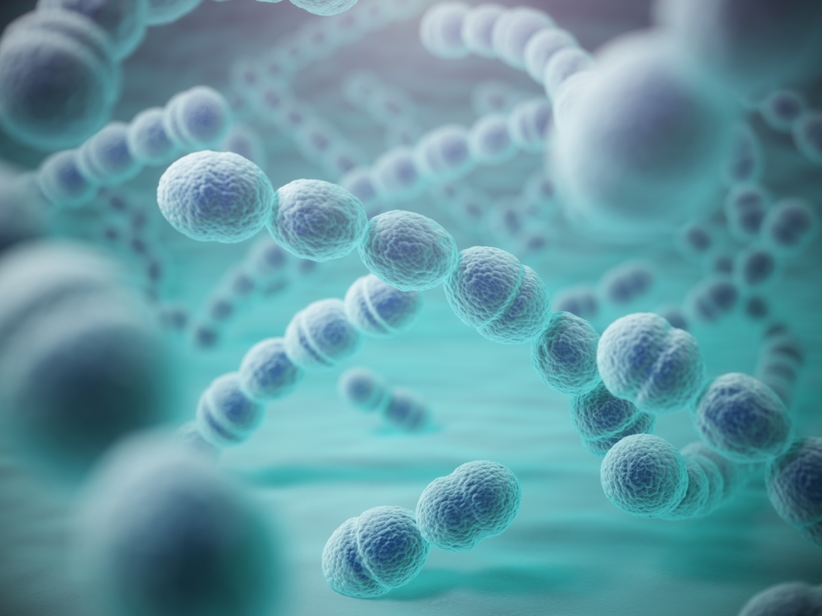 3D image of streptococcus pneumoniae bacteria