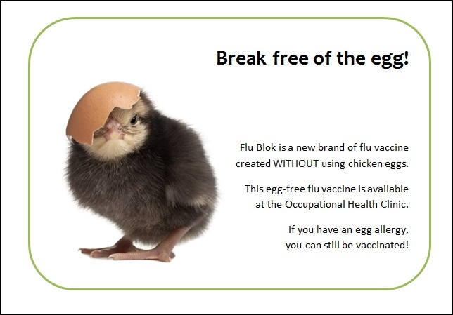 flu-myths-06-allergic-eggs.PNG
