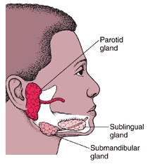 Mumps graphic