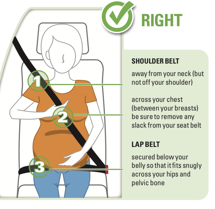 graphic of wearing a seat belt correctly