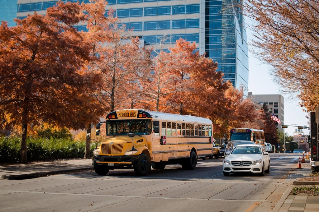 school bus at stop light with other cars