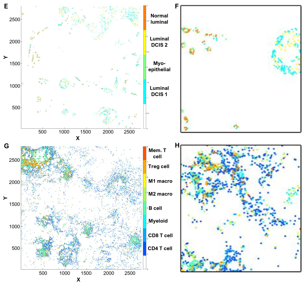 Cell Phenotyping