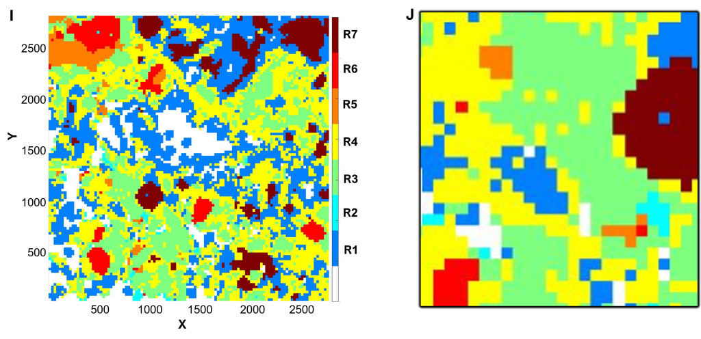 Spatial Profiling