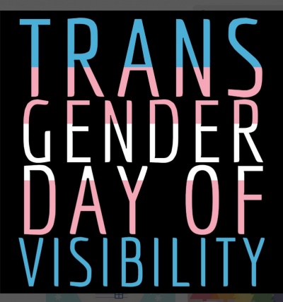 Transgender DOV logo