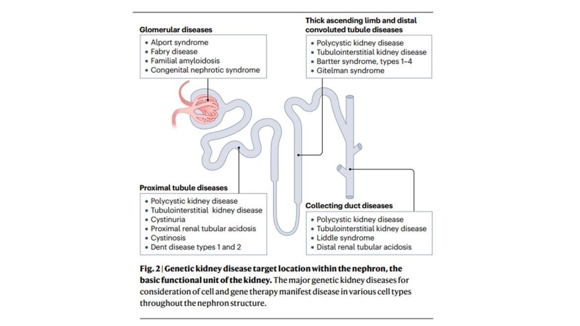 fig2