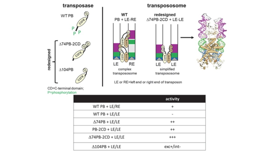 tnpsome