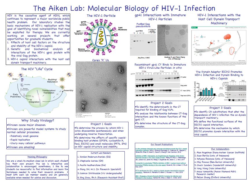 Aiken Lab Molecular Biology of HIV-1 Infection
