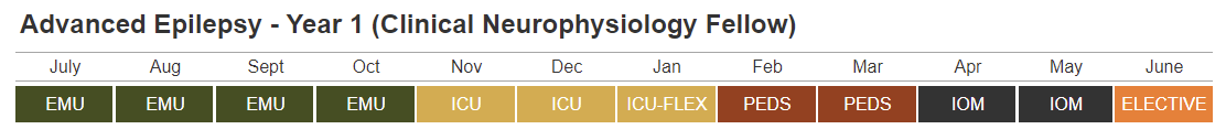 Advanced Epilepsy - Year 1