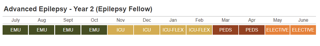 Advanced Epilepsy - Year 2