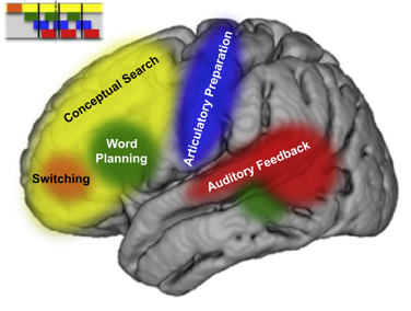 Neurophysiology of consciousness and cognition