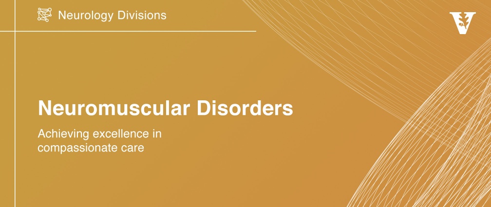 Assessing the Neuromuscular System