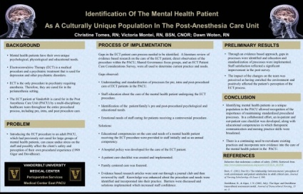 Identification of the Mental Health Patient