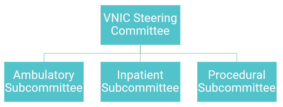 VNIC Structure