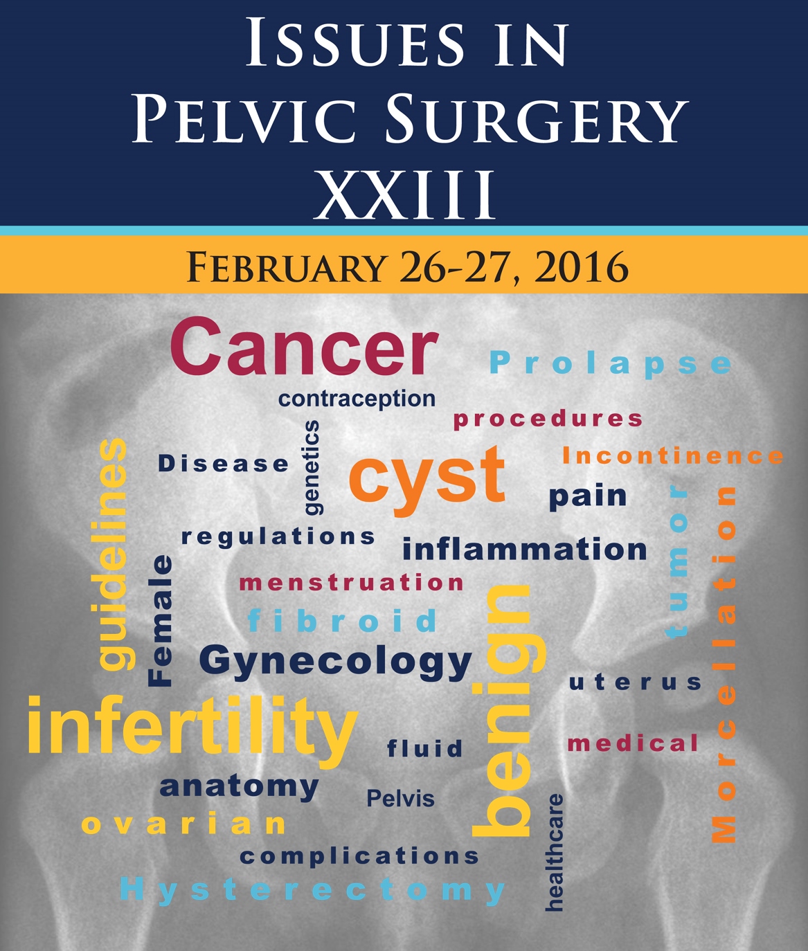 Pelvic Surgery Conference