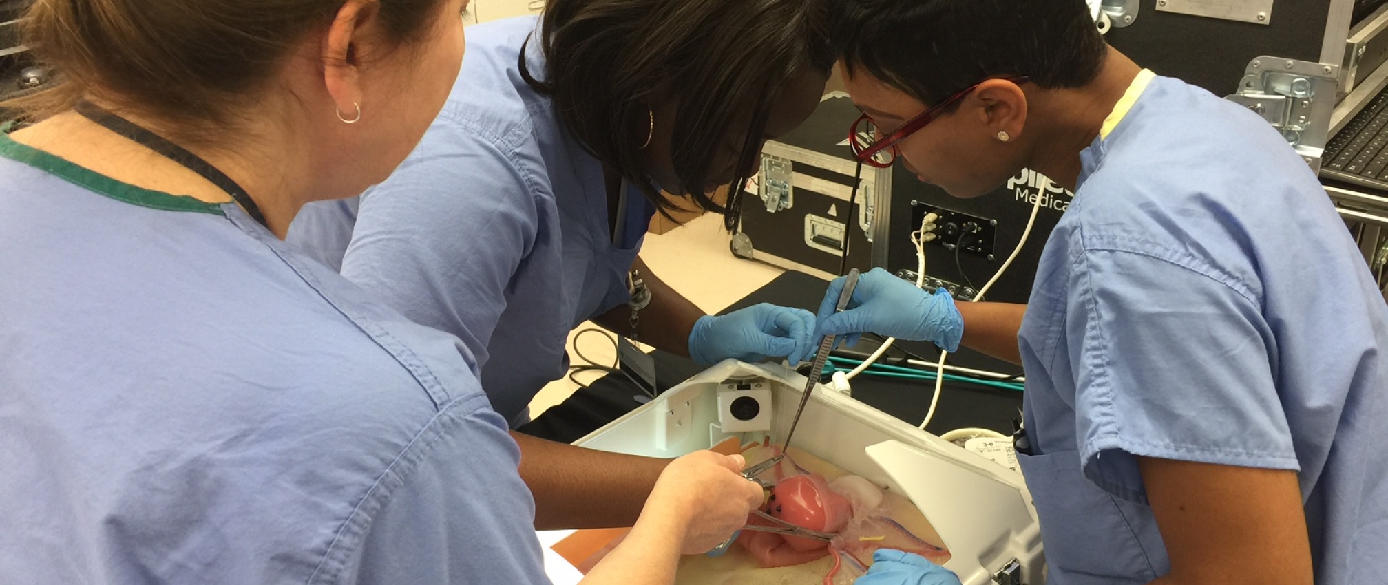 Department of Obstetrics and Gynecology