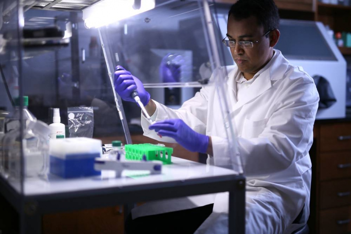 Vision Reseaerch Research | Department of Ophthalmology and Visual Sciences