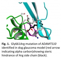 VEI Lab Web Page Fig 1 (4)-200x190.jpg