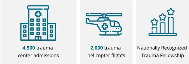 Trauma Fellowship Infographic