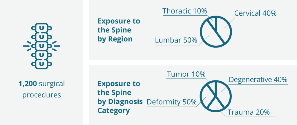 Spine Infographic