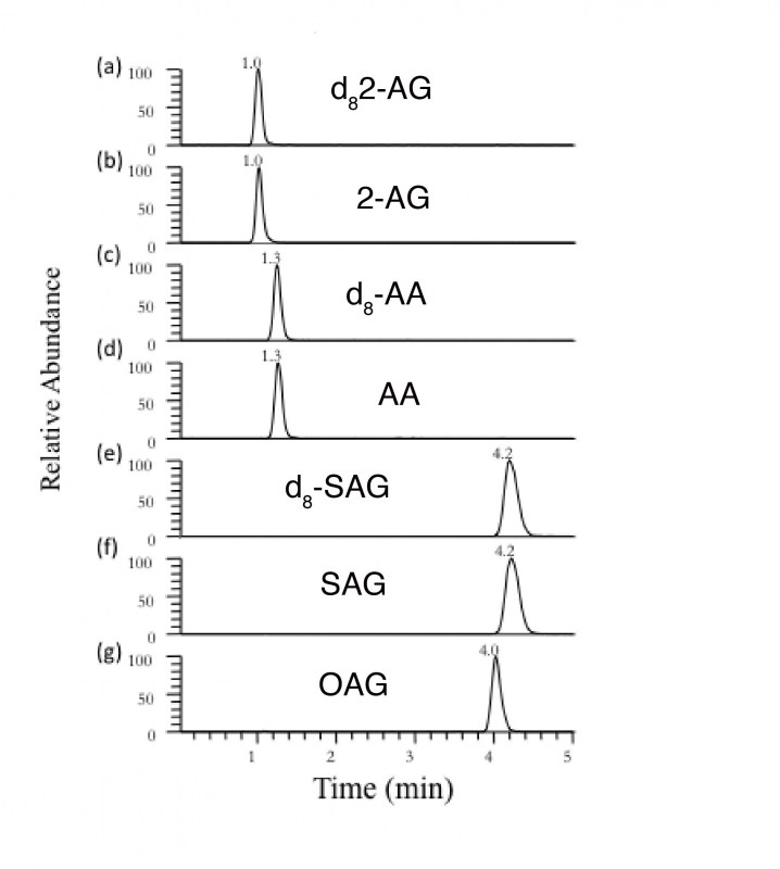 Figure 3.jpg