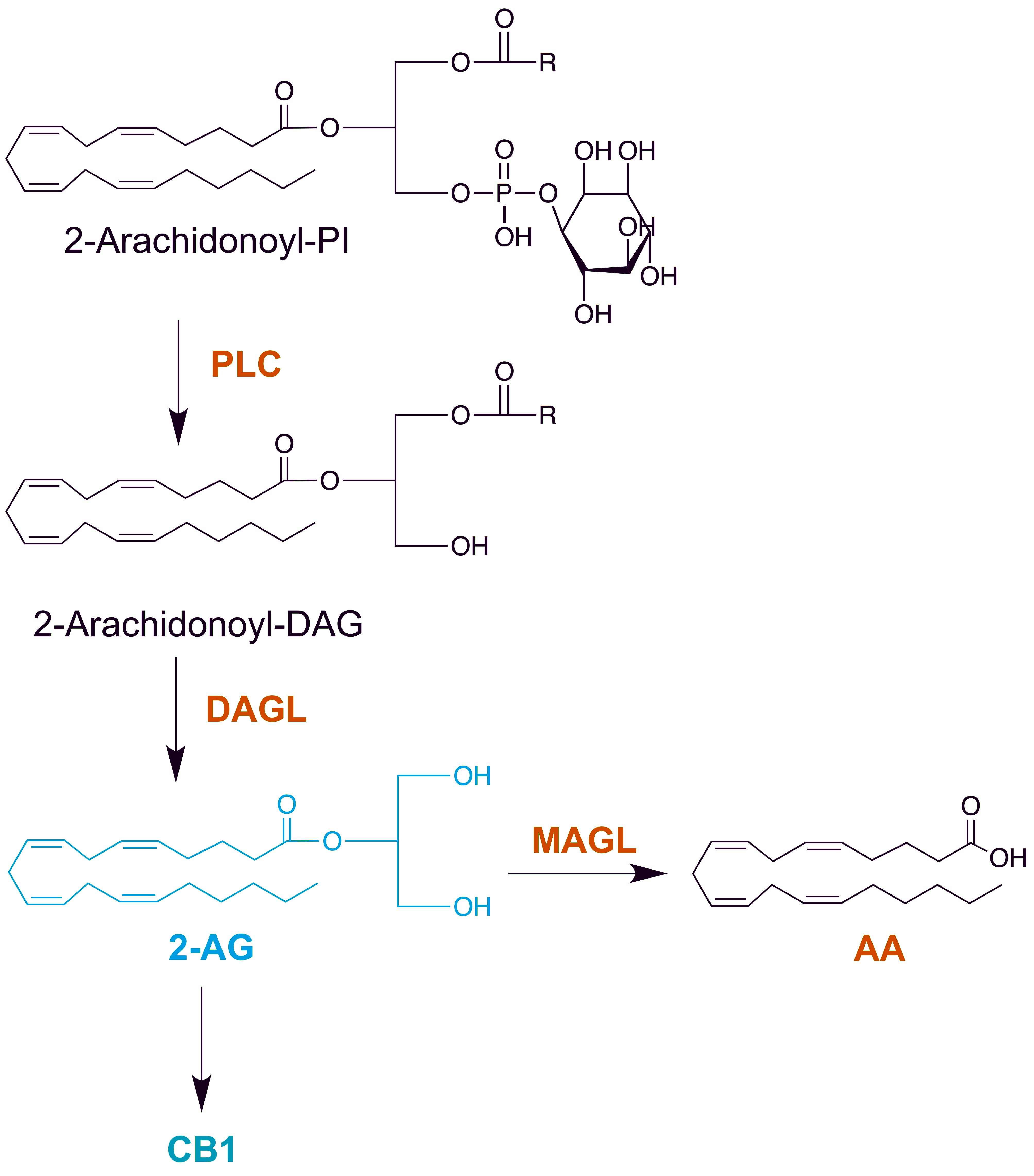 Lab Website (1).jpg