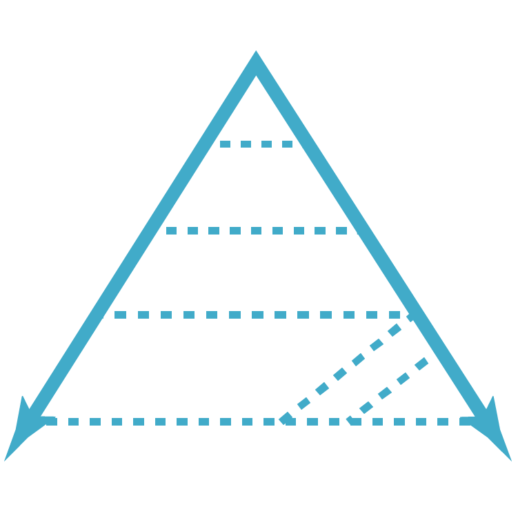 Vanderbilt CPPA pyramid icon