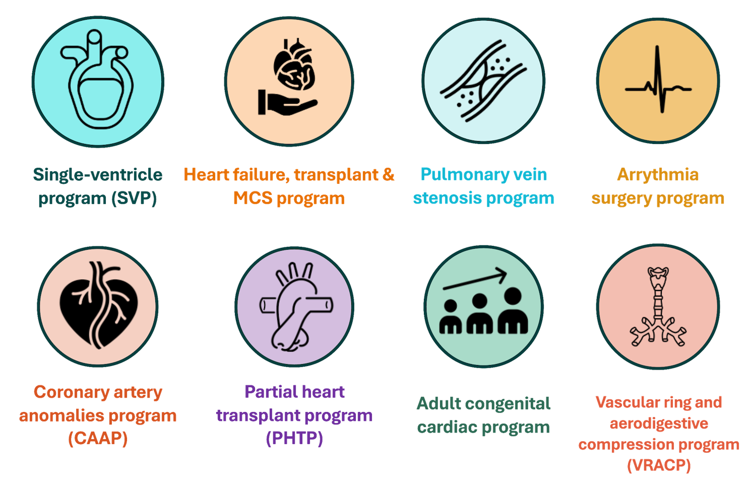 We offer a full spectrum of advanced, team‑based programs, including single ventricle, heart failure, transplant, pulmonary vein stenosis, arrhythmia, coronary artery anomalies, adult congenital cardiac, vascular ring, and aerodigestive compression.